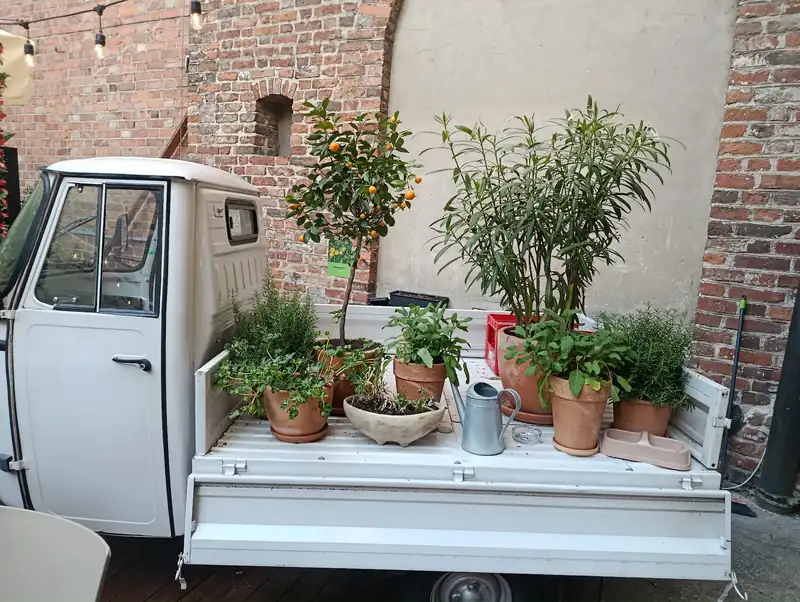 Białe Piaggio Ape z donicami pełnymi roślin
